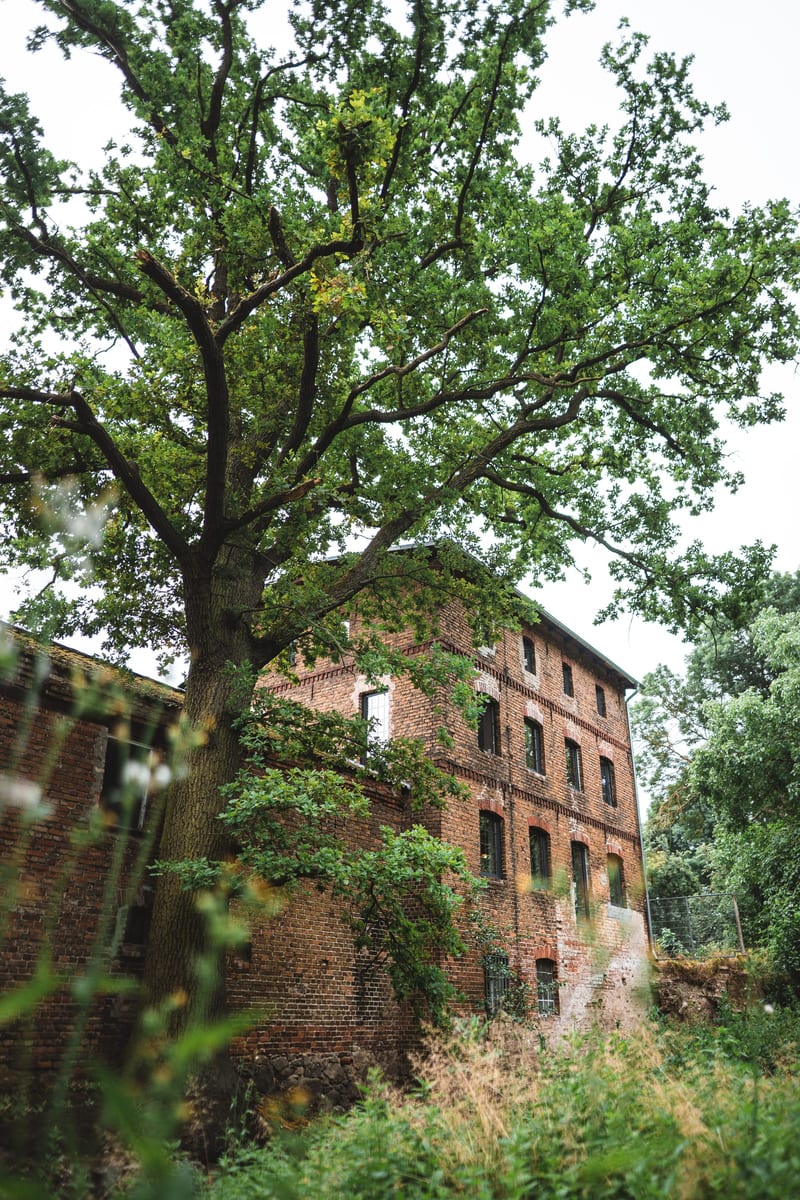 Historische Wassermühle in Niemegk am Hohen Fläming